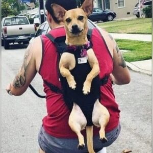 Pawaboo Backpack Carrier